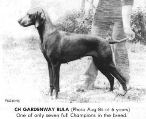 Gardenway Bula