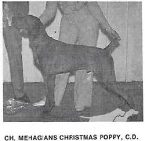 Mehagian's Christmas Poppy