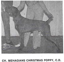 Mehagian's Christmas Poppy