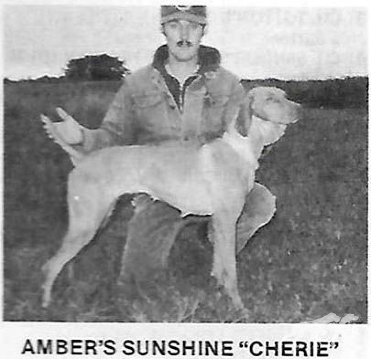 Amber Sunshine Cherie