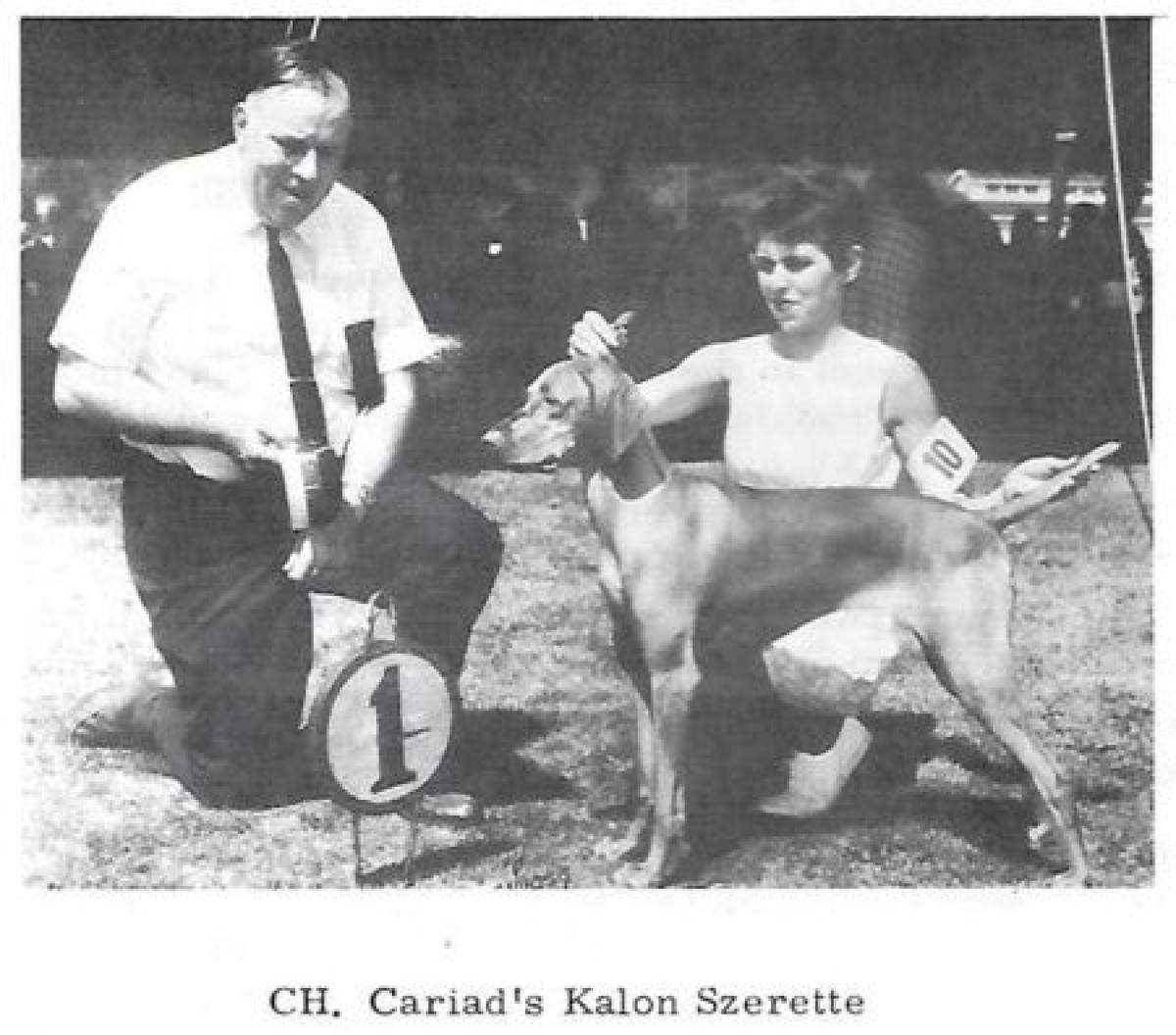 Cariad's Kalon Szerette