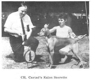 Cariad's Kalon Szerette