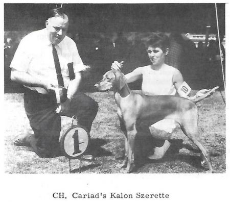 Cariad's Kalon Szerette
