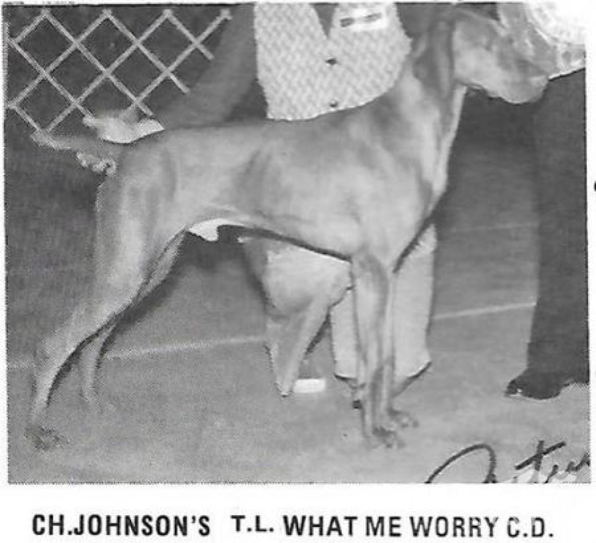 Johnson's T L What Me Worry