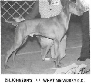 Johnson's T L What Me Worry
