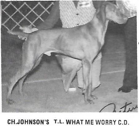 Johnson's T L What Me Worry