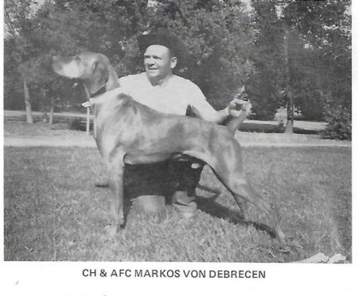 Markos von Debrecen