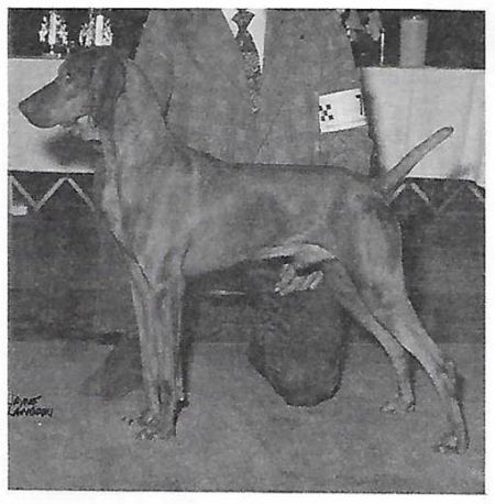 Piroska Checkmate v Lobo