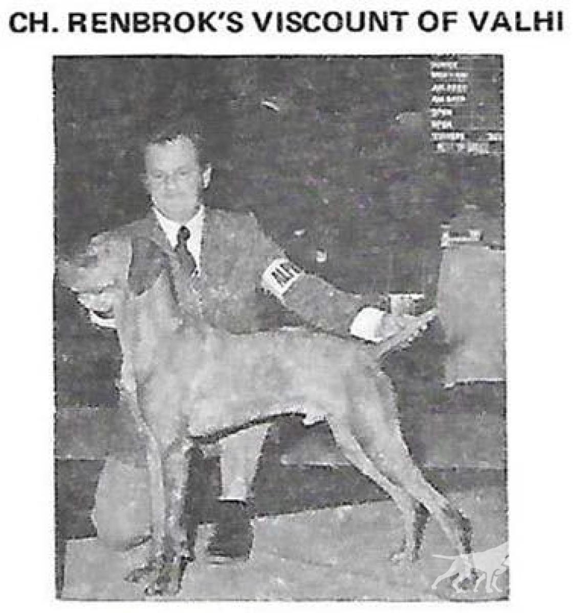 Renbrok's Viscount of Valhi