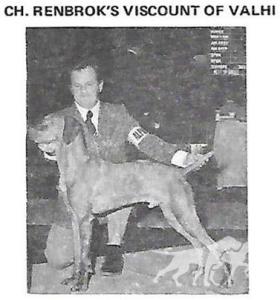 Renbrok's Viscount of Valhi