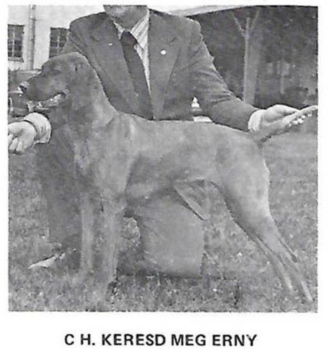 Keresd Meg Erny