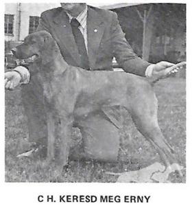 Keresd Meg Erny