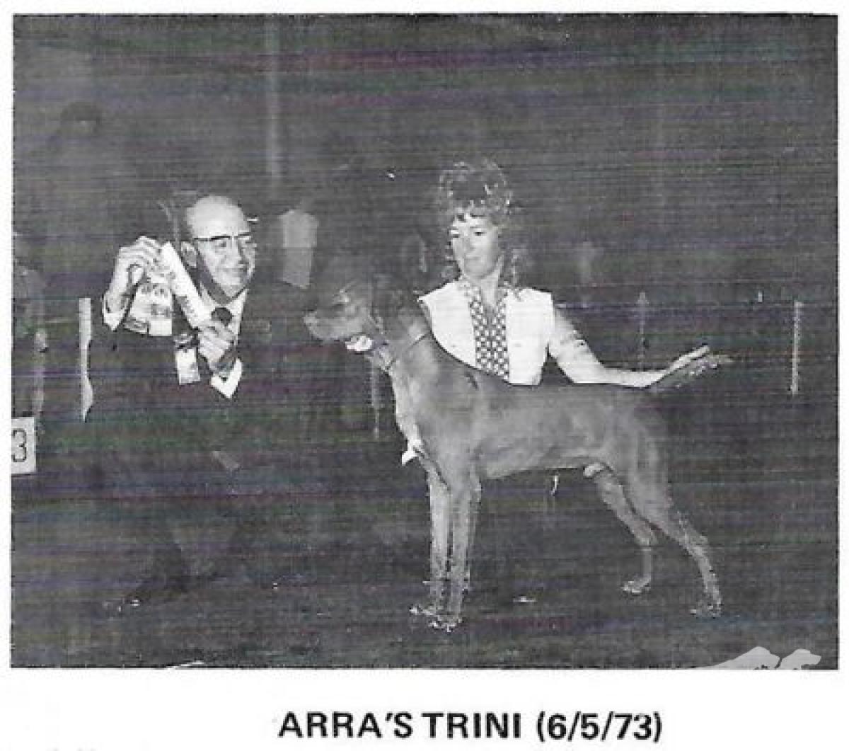 Arra's Trini