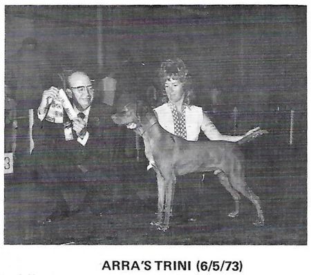 Arra's Trini