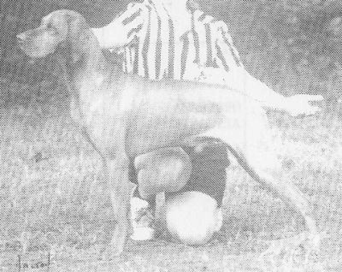 Kencombe Delius