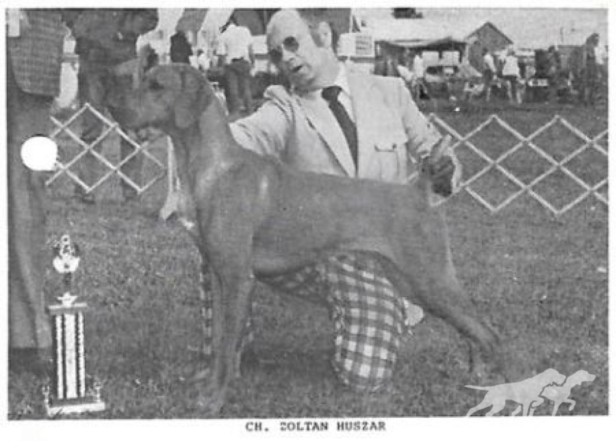 Zoltan Huszar