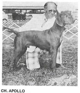 Apollo