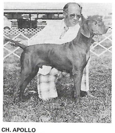 Apollo
