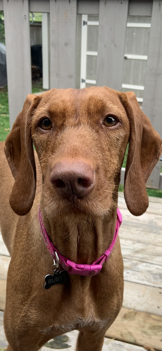 Point Of Honor Ruby