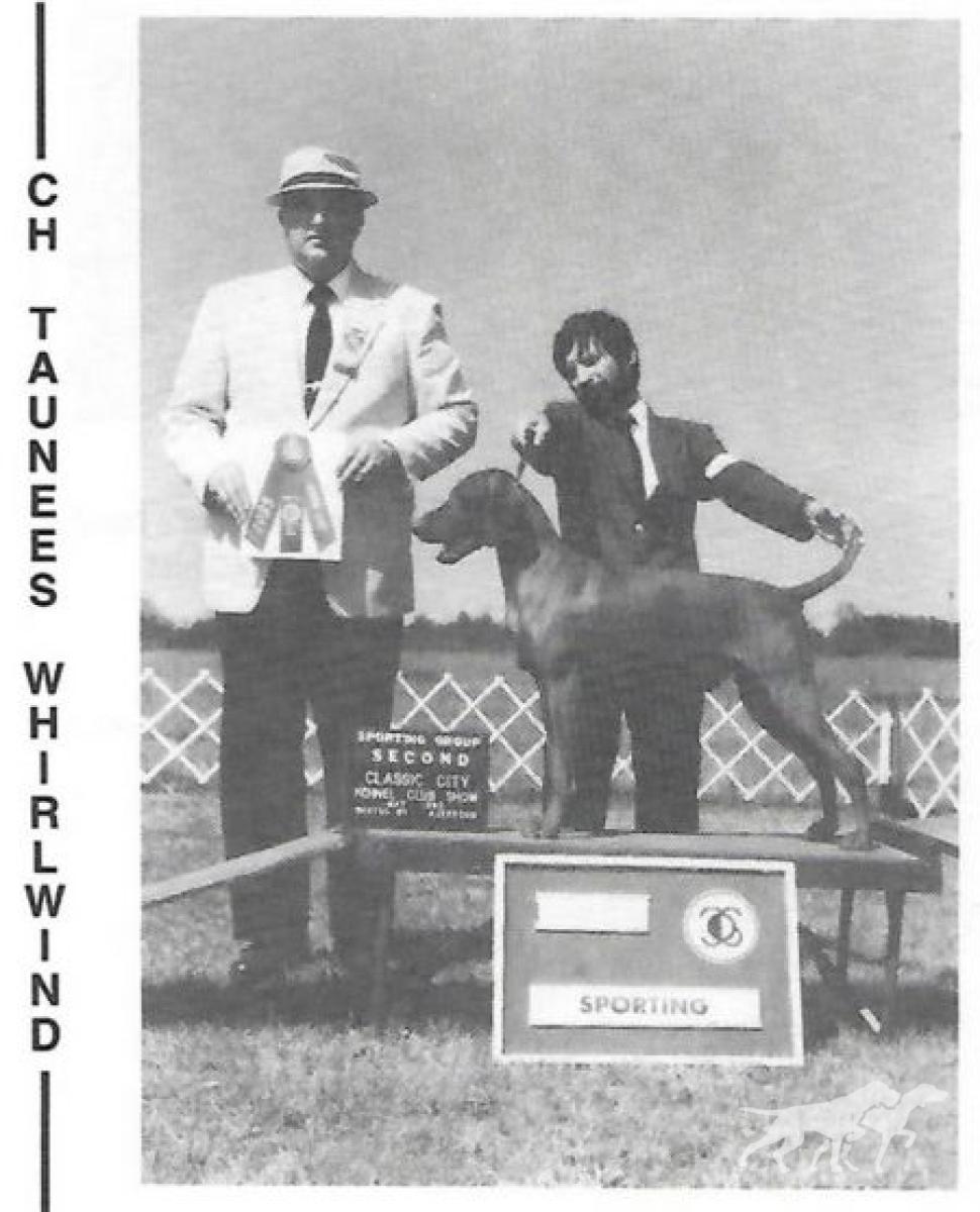 Taunees Whirlwind