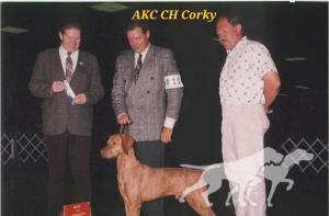 Corky