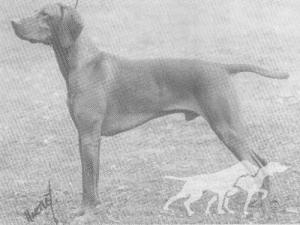 Cuzco Laski