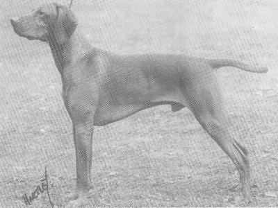 Cuzco Laski