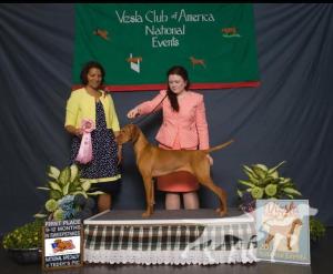 Buddydog Jp Gj Jackpot Meed's Brew