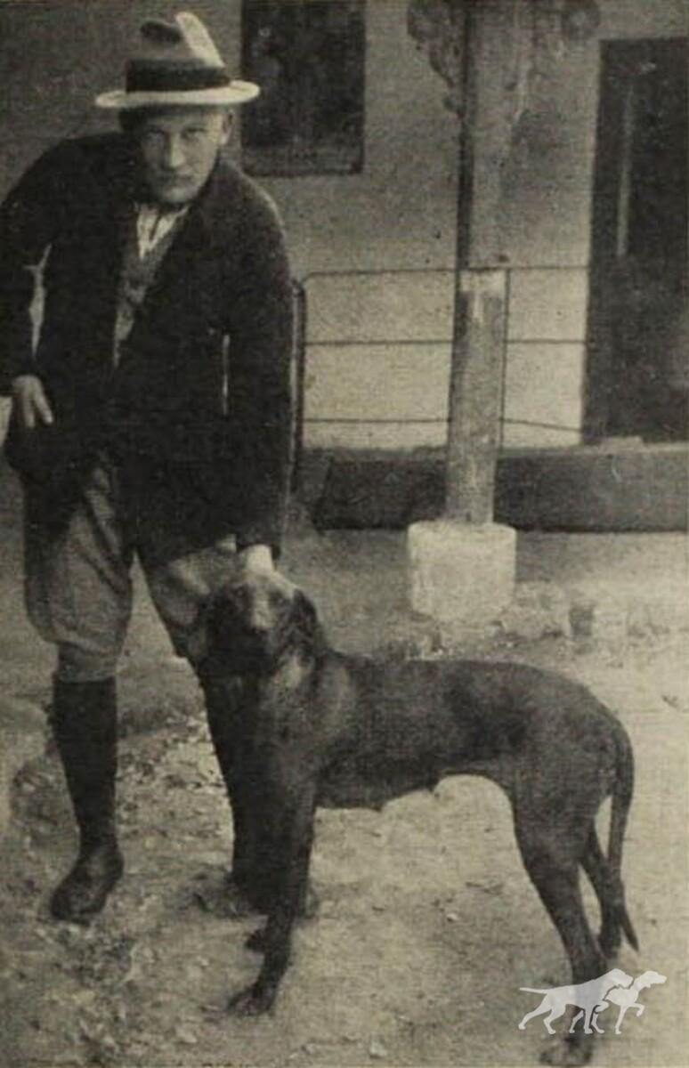 Kacér II