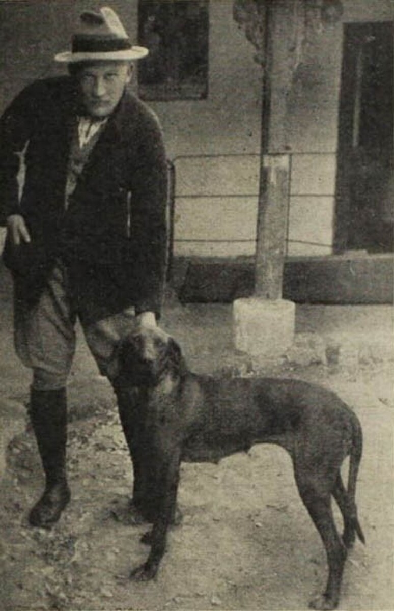 Kacér II