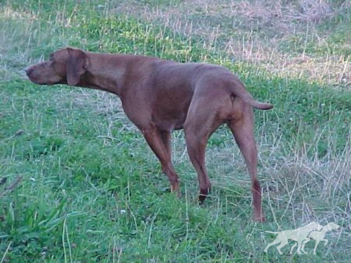 Helmlake Life At The Top with Dallandor