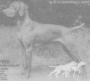 Galfrid Sidney