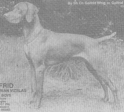 Galfrid Sidney
