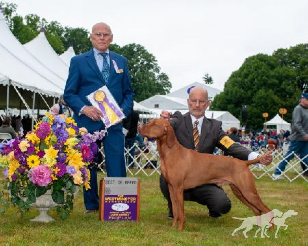 Pursuit's Trek To The Triple Crown