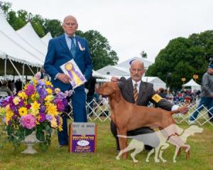 Pursuit's Trek To The Triple Crown
