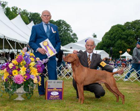 Pursuit's Trek To The Triple Crown
