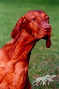 Reiver of Winnoch