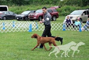 Fezentrun's Wild Blue Yonder at Woodbine