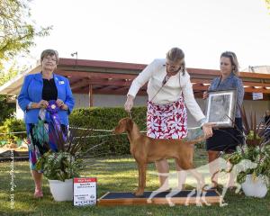 Oneten Little Deuce Coupe By Tierah