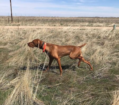 Boulder Upcountry Perfect Mile