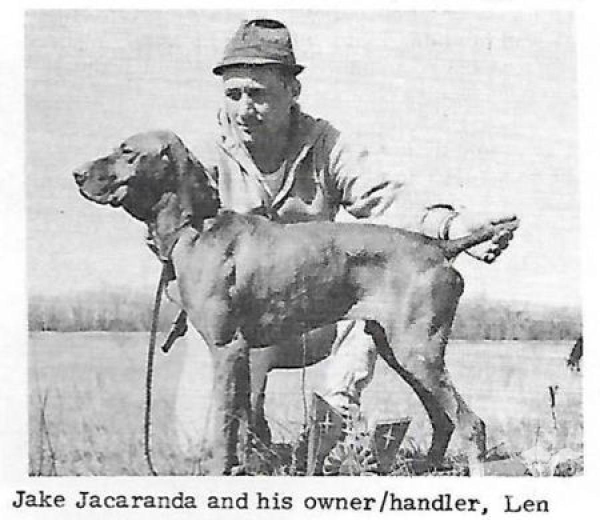 Jake Jacaranda