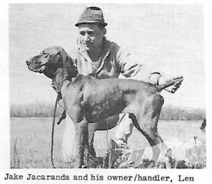 Jake Jacaranda