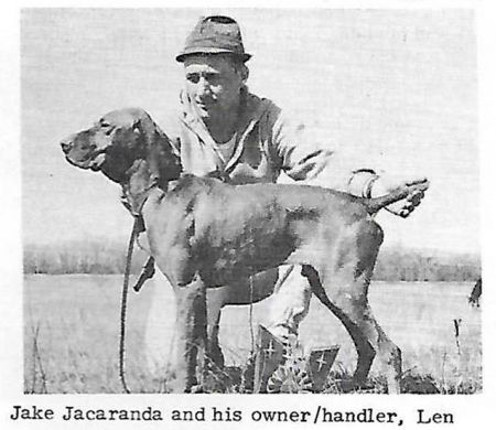 Jake Jacaranda