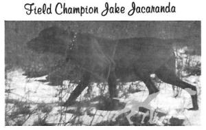 Jake Jacaranda