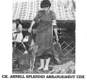Arnell Splendid Arrangement