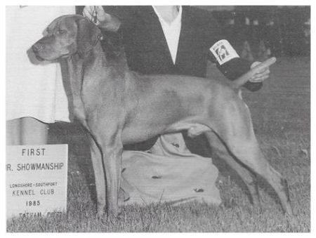 Willo Runn's Bold Brigadier