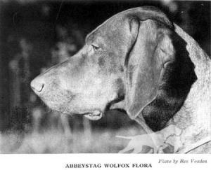 Abbeystag Wolfox Flora