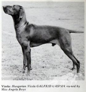 Galfrid Gaspar