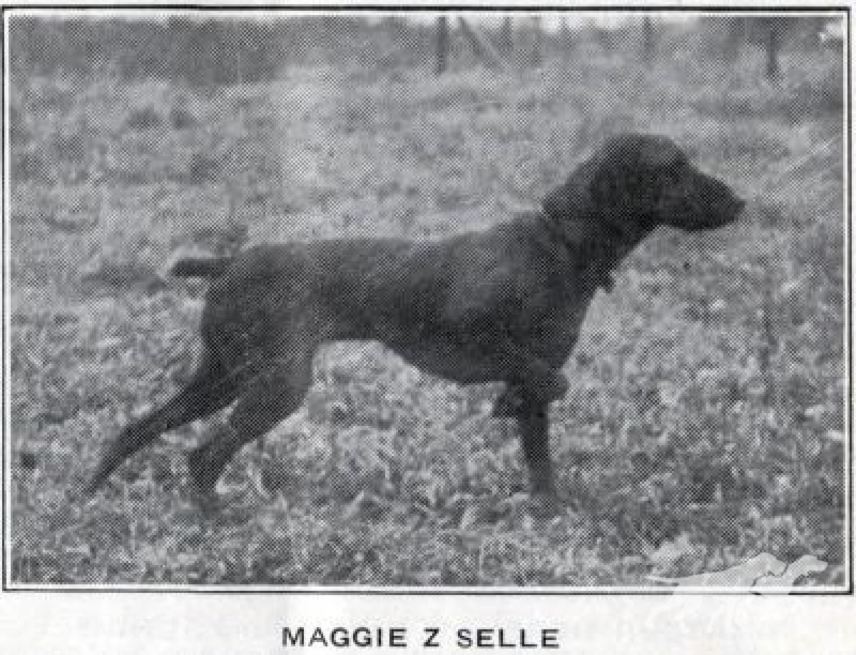Maggie z Selle