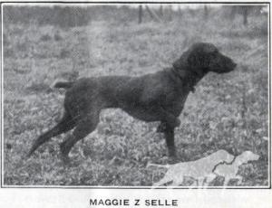 Maggie z Selle
